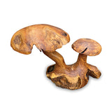 Root Double Wild Mushroom