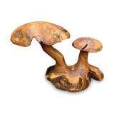 Root Double Wild Mushroom