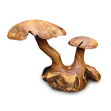 Root Double Wild Mushroom