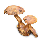 Root Double Wild Mushroom