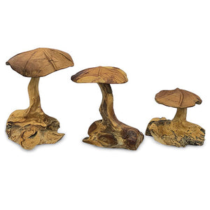 Root Wild Mushrooms - set of 3