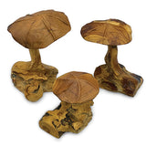 Root Wild Mushrooms - set of 3