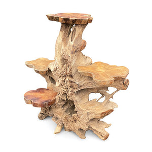 Root Tree Display Stand