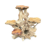 Root Tree Display Stand