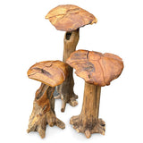 Root Giant Wild Mushrooms - set of 3