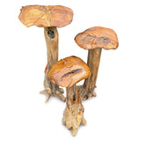 Root Giant Wild Mushrooms - set of 3