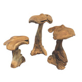 Root Giant Wild Mushrooms - set of 3