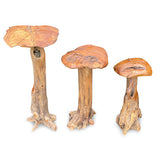 Root Giant Wild Mushrooms - set of 3