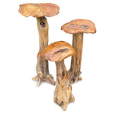 Root Giant Wild Mushrooms - set of 3