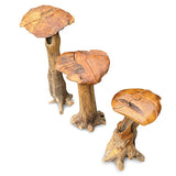 Root Giant Wild Mushrooms - set of 3