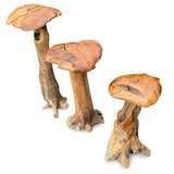 Root Giant Wild Mushrooms - set of 3