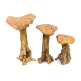 Root Giant Wild Mushrooms - set of 3