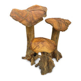 Root Giant Wild Mushrooms - set of 3