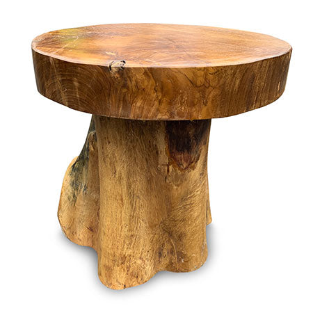 ROOT MUSHROOM STOOL