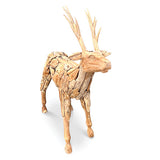 Root Small Reindeer/Stag