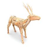 Root Small Reindeer/Stag