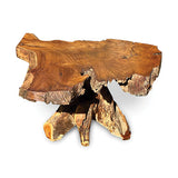 Root Coffee Table 1 leg