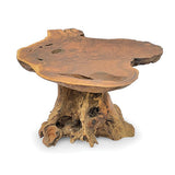 Root Coffee Table 1 leg