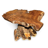 Root Coffee Table 1 leg