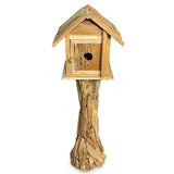 Root Bird House with door