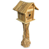 Root Bird House with door