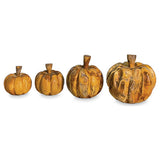 Root Pumpkins set of 4