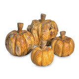 Root Pumpkins set of 4