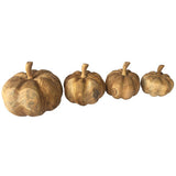 Root Pumpkins set of 4