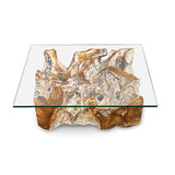 Root Lombok Coffee Table rectangle with 100 x 70cm glass