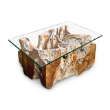 Root Lombok Coffee Table rectangle with 100 x 70cm glass