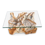 Root Lombok Coffee Table rectangle with 100 x 70cm glass