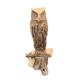 Root Carved Owl 100cm