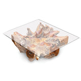 Root Square Lombok Coffee Table small with 90x90cm glass