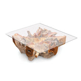 Root Square Lombok Coffee Table small with 90x90cm glass