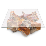 Root Square Lombok Coffee Table small with 90x90cm glass