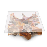 Root Square Lombok Coffee Table small with 90x90cm glass