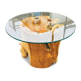 Root Round Lombok Coffee Table extra small with 70cm glass