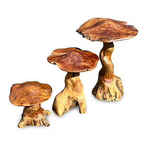 Teak Root Giant Wild Toadstools set of 3