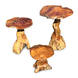 Teak Root Giant Wild Toadstools set of 3