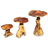 Teak Root Giant Wild Toadstools set of 3