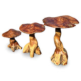 Teak Root Giant Wild Toadstools set of 3