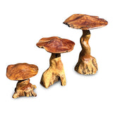 Teak Root Giant Wild Toadstools set of 3