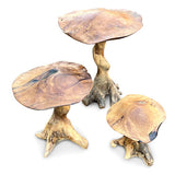 Teak Root Giant Wild Toadstools set of 3