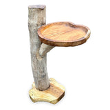 Driftwood Splash Bird Bath