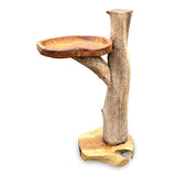 Driftwood Splash Bird Bath