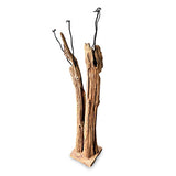 Driftwood Double Sculpture Coat Stand