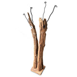 Driftwood Double Sculpture Coat Stand