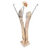 Driftwood Double Sculpture Coat Stand