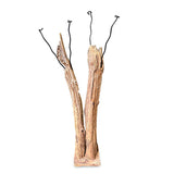 Driftwood Double Sculpture Coat Stand