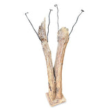 Driftwood Double Sculpture Coat Stand